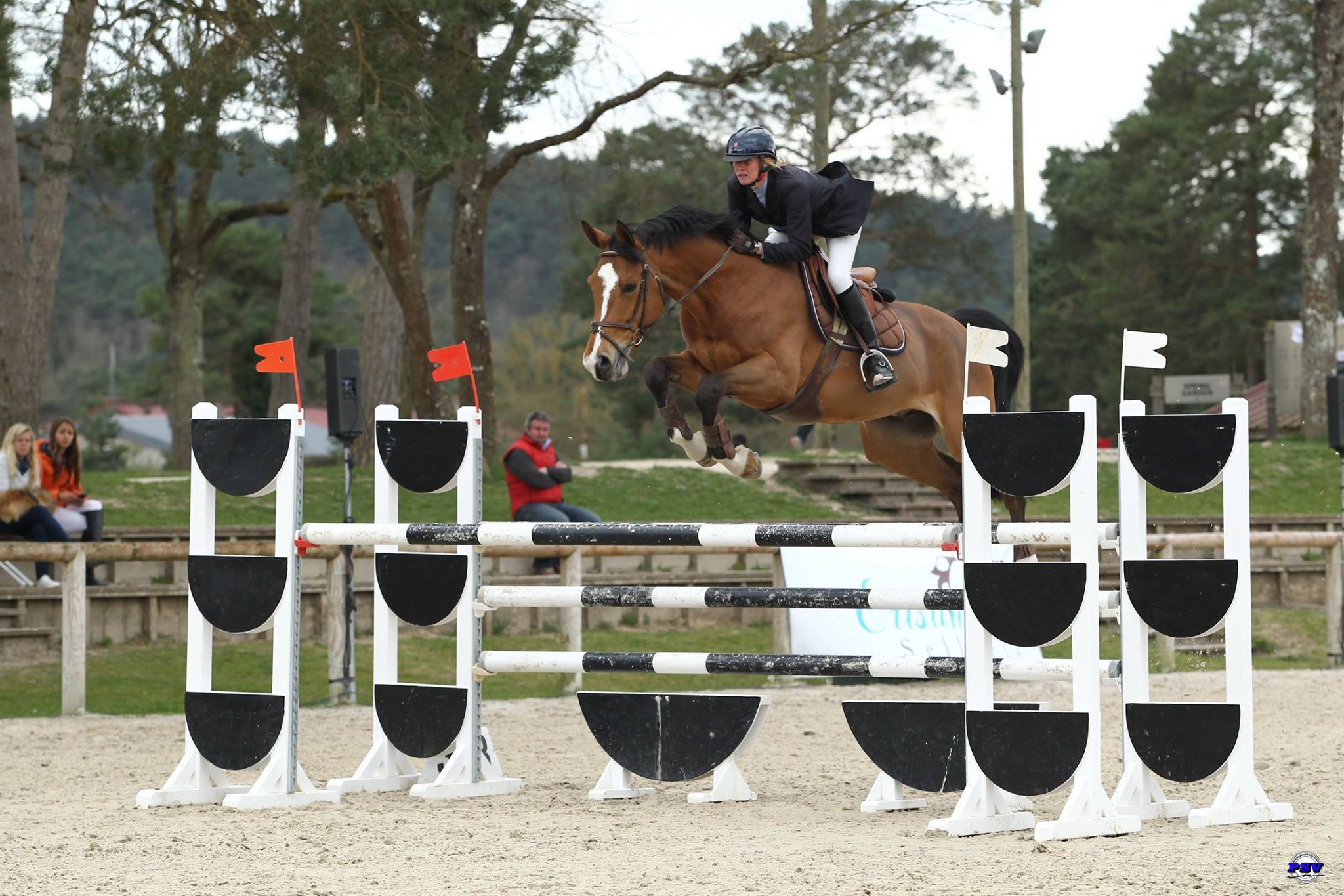 Martine Billemont - Showjumping